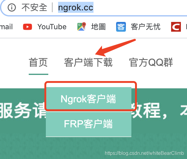 ngrok最新客户端ngrok内网穿透自定义端口