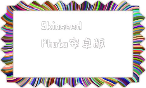 关于SkinseedPhoto安卓版的信息