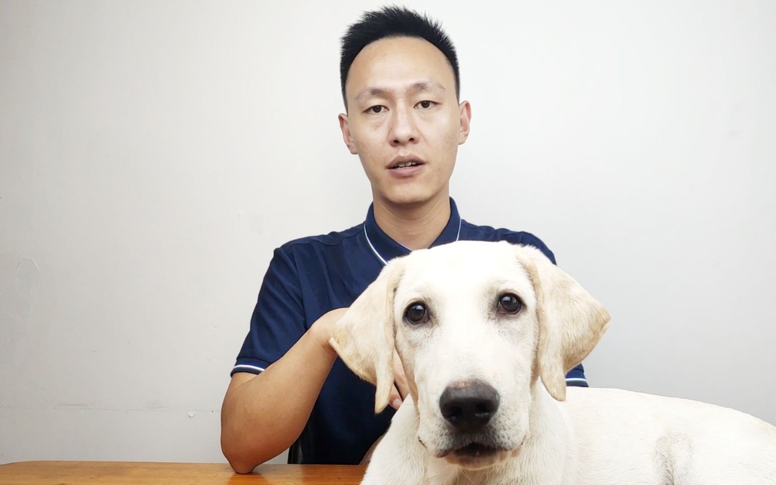欢狗客户端欢狗子是什么动物属于国家保护动物嘛