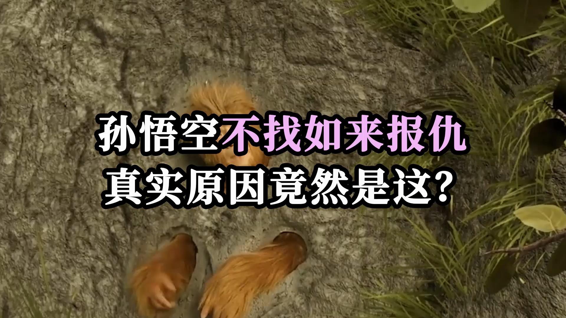 大话铃声苹果版下载(大话西游背景音乐铃声)-第2张图片-有道翻译官网