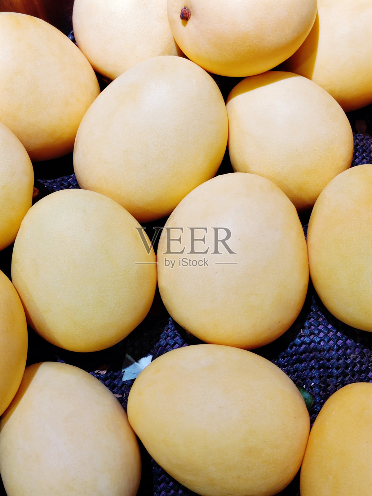 芒果国际版苹果(芒果tv国际版下载安装)-第2张图片-有道翻译官网