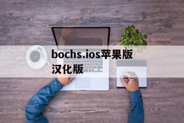 bochs.ios苹果版汉化版的简单介绍-第4张图片-有道翻译官网